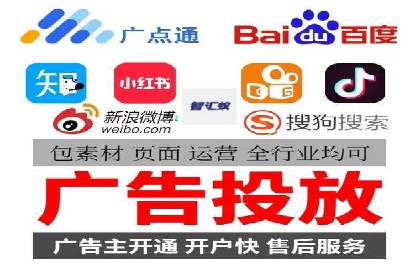 XX领域竞价广告的投放策略及效果展示
